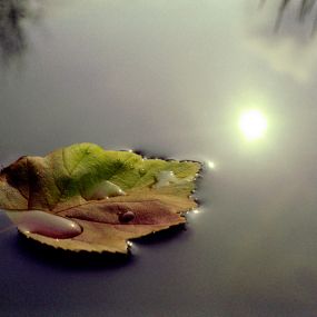 Mindfulness