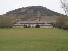 Dehesa Olárizu