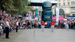 pelota