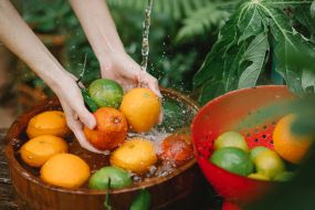 Nutrición y bienestar
