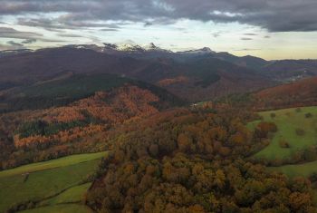 noviembre gorbea