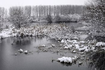 febrero humedales