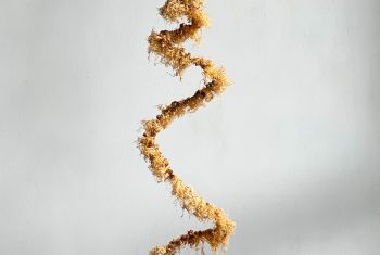 Foto_7