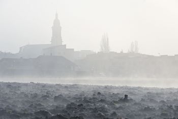 Foto_10