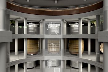 Fotomongaje proceso elaboración vino
