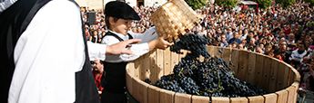 Arabako Errioxako Mahats-bilketaren Festa