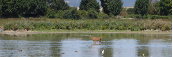 Rutas de naturaleza urbana