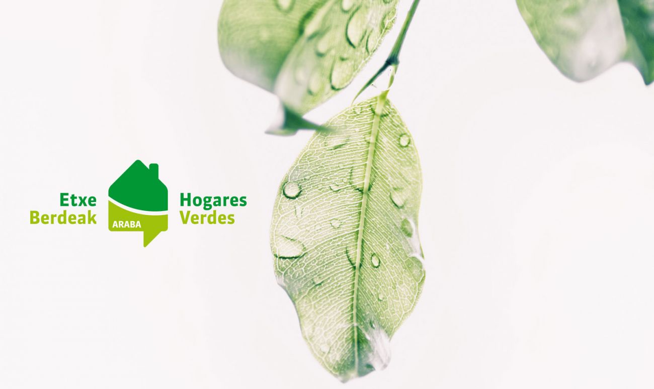 Presentamos Hogares Verdes Araba