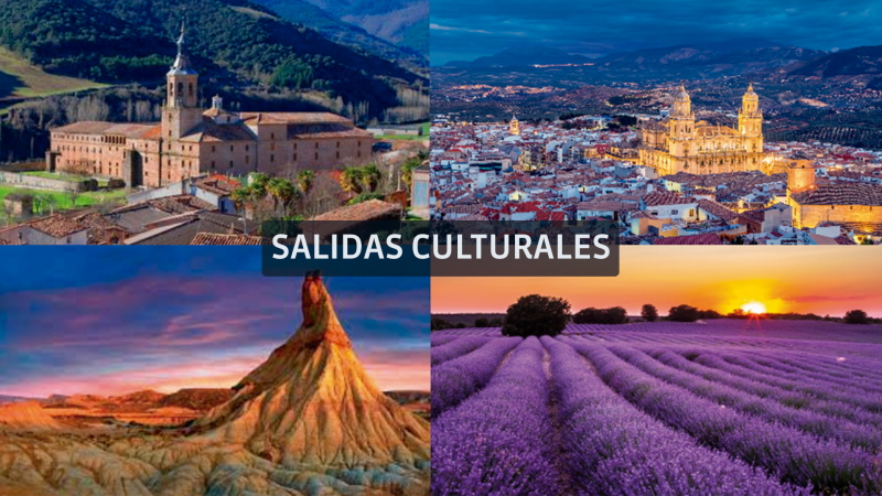 SALIDAS CULTURALES