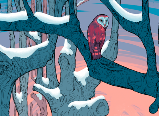 Exposición - 'Invierno ilustrado'